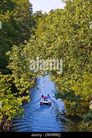 Coppia in pedalò sul fiume Lahn, Germania, Assia, Marburg an der Lahn Foto Stock