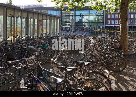 Biciclette parcheggiate presso la stazione centrale della capitale delle biciclette, Germania, Renania settentrionale-Vestfalia, Munster Foto Stock