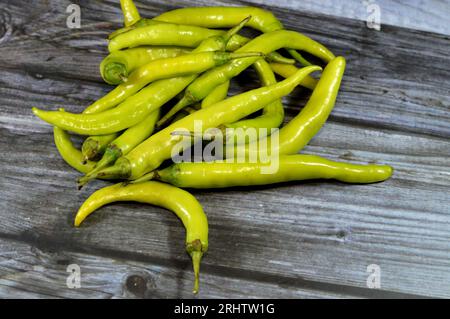 Pila di peperoni verdi freschi biologici, varietà di frutti di bosco di piante del genere Capsicum, membri della famiglia dei Solanace nightshade Foto Stock