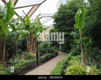 Giardino pensile Crossrail Place a Canary Wharf a Londra, Regno Unito Foto Stock