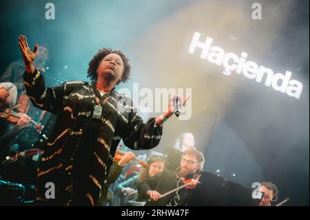 Sedgefield, Regno Unito. 18 agosto 2023. Hacienda Classical, con Graeme Park, Manchester Camerata e Peter Hook si esibiscono all'Hardwick Festival. Crediti: Thomas Jackson/Alamy Live News Foto Stock