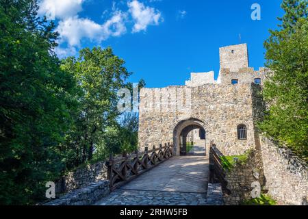 Strecno, Slovacchia - 08 11 2023: Castello di Strecno, ponte di legno e porta d'ingresso alle rovine del castello Foto Stock