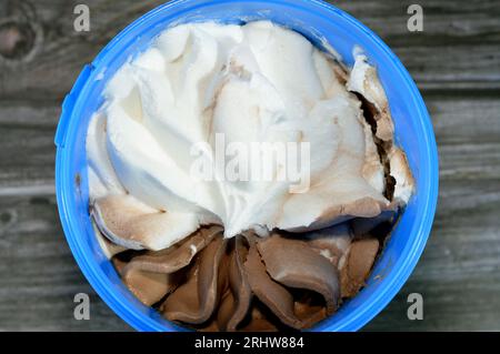 Gelato congelato bianco alla vaniglia e cioccolato in una ciotola di plastica isolata su fondo di legno e pronta per essere servita, gelato al cioccolato alla vaniglia Foto Stock