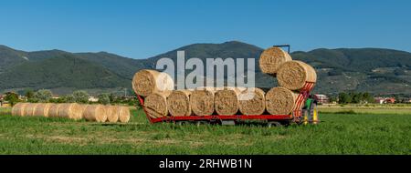 Grandi balle rotonde di fieno caricate su un rimorchio a Bientina, Italia, con Monte Serra sullo sfondo Foto Stock