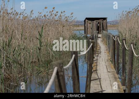 Sentiero in legno sopra l'acqua e l'osservatorio ornitologico nel Parco naturale El Hondo, Spagna Foto Stock