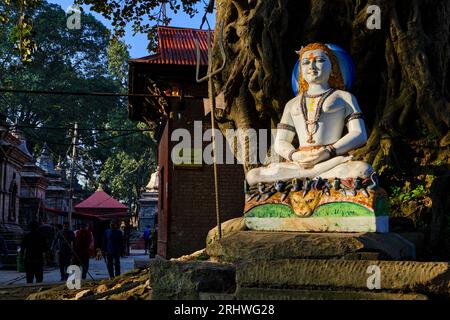 Nepal, valle di Kathmandu, tempio indù di Pashupatinath dedicato a Shiva Foto Stock