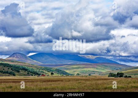 Ben More Assynt Sutherland Scozia nuvola sulla montagna vista in estate con heather sulle colline Foto Stock