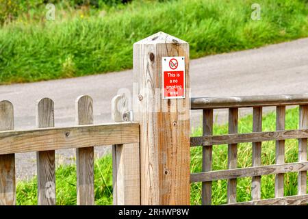 Cartello per non fumatori su un palo di legno in un parco pubblico. Niente persone. Foto Stock