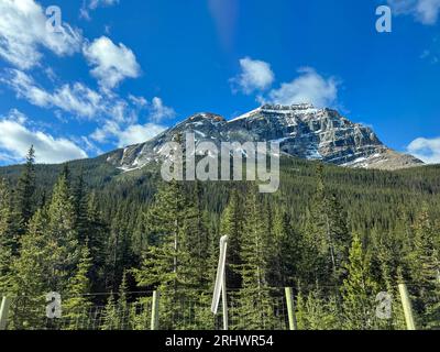 La splendida vista panoramica durante il viaggio attraverso il Parco Nazionale di Yoho in Canada. Foto Stock