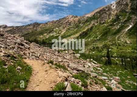 Trail Winds around Corner nel lussureggiante Canyon nel Grand Teton National Park Foto Stock