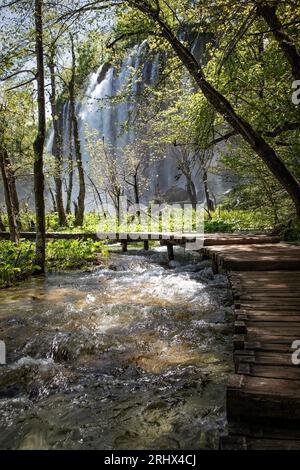 Le cascate scorrono dai laghi superiori del Parco Nazionale di Plitvice in Croazia. Foto Stock