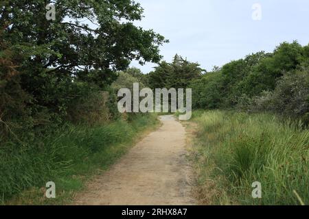 Pista/sentiero di Chemin du Souil, Benance, Sarzeau, Morbihan, Bretagna, Francia Foto Stock