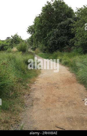 Pista/sentiero di Chemin du Souil, Benance, Sarzeau, Morbihan, Bretagna, Francia Foto Stock