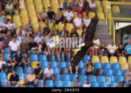 Arnhem, Paesi Bassi. 19 agosto 2023. ARNHEM, PAESI BASSI - 19 AGOSTO: La mascotte di Vitesse durante l'Eredivisie match olandese tra Vitesse e PSV al GelreDome il 19 agosto 2023 ad Arnhem, Paesi Bassi. (Foto di Ben Gal/Orange Pictures) credito: Orange Pics BV/Alamy Live News Foto Stock