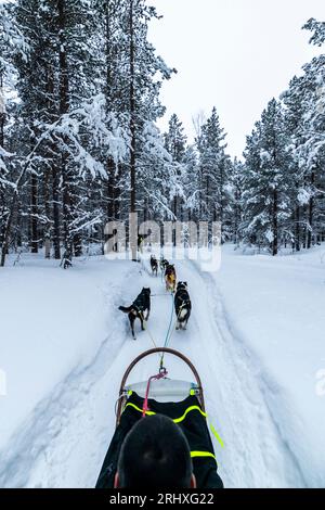 Vista posteriore di un maschio anonimo che guarda lontano seduto su una slitta legato a un branco da corsa di cani domestici addomesticati contro gli alberi della foresta ricoperta di neve di Foto Stock