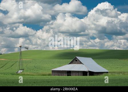 Fienile e mulino a vento in disuso a sud di Mosca, Idaho, USA. Foto Stock
