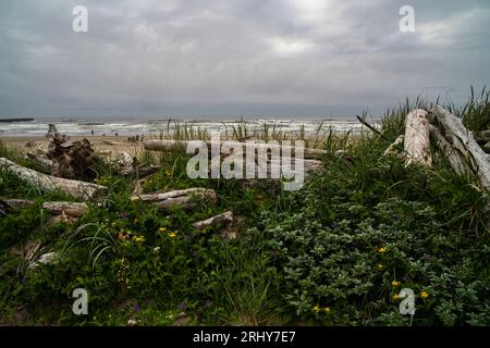 Cielo minaccioso la sera al Bullards Beach State Park vicino a Bandon, Oregon. Foto Stock