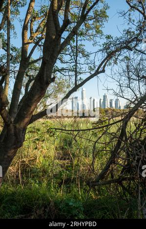 Giornata di sole nella riserva ecologica di Costanera Sur a Buenos Aires, capitale della Repubblica Argentina nel 2023. Foto Stock