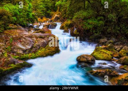 Remoto e incontaminato ruscello panoramico di acqua dolce sul percorso del lago Marian in nuova Zelanda. Foto Stock