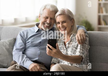 Felice coppia pensionati che parla di videochiamata online Foto Stock