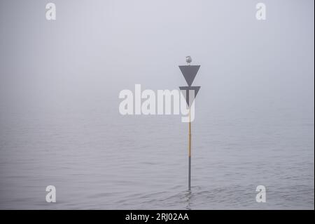 Amburgo, Germania. 20 agosto 2023. Un gabbiano siede su un cartello con una fitta nebbia sul fiume Elba. Crediti: Jonas Walzberg/dpa/Alamy Live News Foto Stock