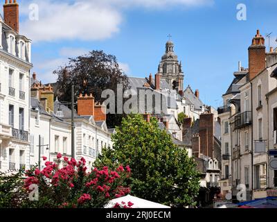 Città di Blois con il campanile della Cattedrale di Saint Louis. Blois è un comune della Loir-et-Cher, capoluogo del dipartimento di Centre-Val de Loire Foto Stock