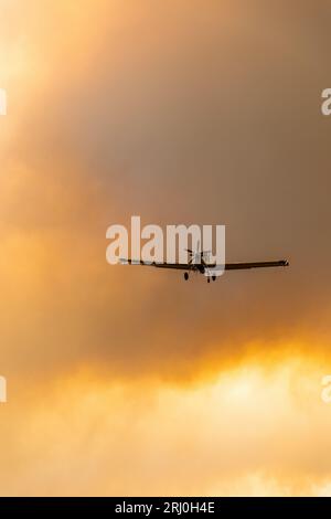 Grande incendio boschivo catastrofico ad Alexandroupolis Evros Grecia, vicino all'aeroporto e ad Apalos, situazione di emergenza, antincendio aereo. Foto Stock