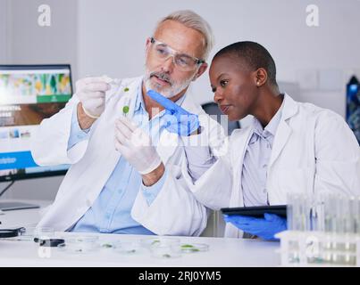 Scienziato, team scientifico con tubo di prova e pianta, donna nera e uomo anziano con ricerca medica in laboratorio. Mentore, apprendimento ed esempio di foglia Foto Stock