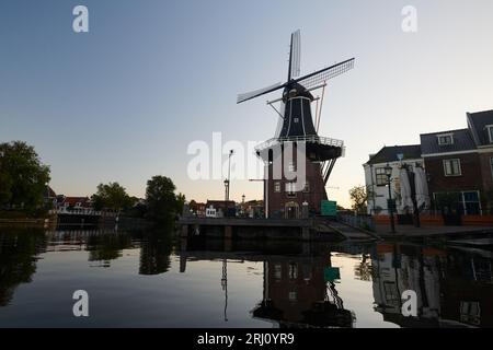 Storico mulino a vento lungo il fiume Spaarne nel centro di Haarlem all'alba, al sole d'estate Foto Stock