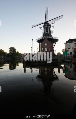 Storico mulino a vento lungo il fiume Spaarne nel centro di Haarlem all'alba, al sole d'estate Foto Stock