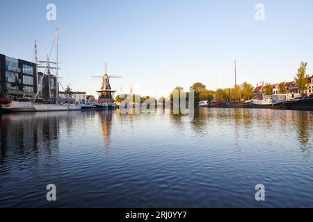 Storico mulino a vento lungo il fiume Spaarne nel centro di Haarlem all'alba, al sole d'estate Foto Stock