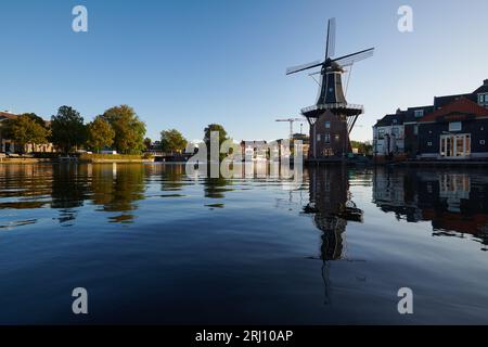 Storico mulino a vento lungo il fiume Spaarne nel centro di Haarlem all'alba, al sole d'estate Foto Stock