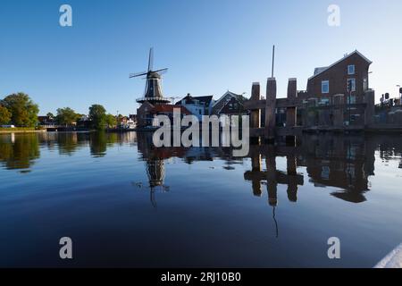 Storico mulino a vento lungo il fiume Spaarne nel centro di Haarlem all'alba, al sole d'estate Foto Stock