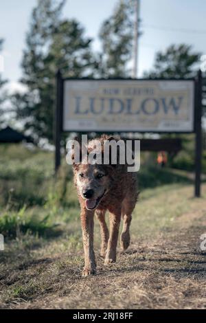 PET SEMATARY: BLOODLINES (2023), diretto da LINDSEY BEER. Credito: FOTO DI GRANDE IMPORTANZA/album Foto Stock