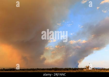 Grande incendio boschivo catastrofico ad Alexandroupolis Evros Grecia, vicino all'aeroporto e ad Apalos, situazione di emergenza, antincendio aereo. Foto Stock