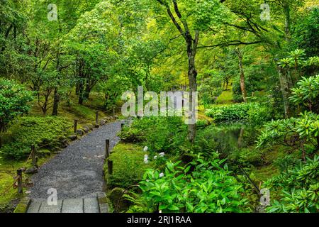 Vista panoramica nel bellissimo tempio Ryoan-ji di Kyoto. Giappone. Foto Stock