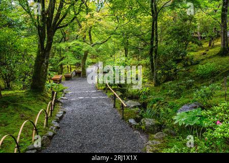 Vista panoramica nel bellissimo tempio Ryoan-ji di Kyoto. Giappone. Foto Stock