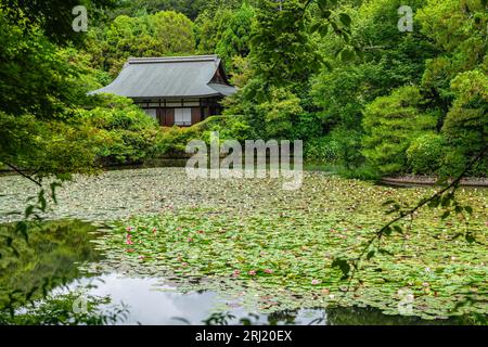 Vista panoramica nel bellissimo tempio Tenryu-ji di Kyoto. Giappone. Foto Stock