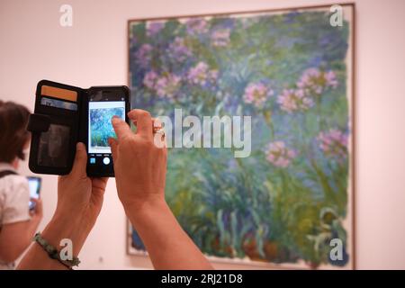 Persone che guardano opere d'arte al MOMA, Agapanthus di Claude Monet 1914-1926 NYC New York City Foto Stock