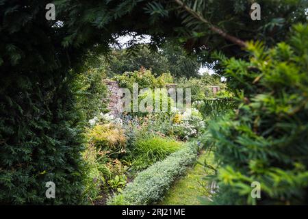 Un bellissimo giardino murato in piena fioritura raffigurato attraverso un lussureggiante arco di arbusti nel Norfolk. Foto Stock