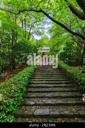 Vista panoramica nel bellissimo tempio Tenryu-ji di Kyoto. Giappone. Foto Stock