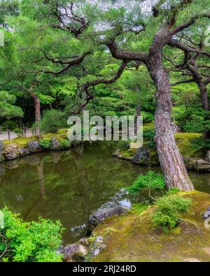 Vista panoramica nel meraviglioso Tempio Ginkaku-ji di Kyoto. Giappone. Foto Stock