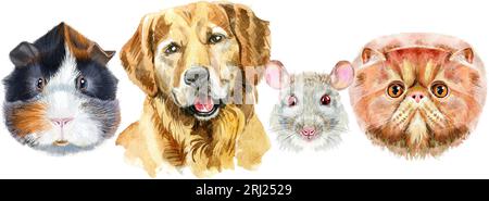 Bordo per animali domestici. Disegno ad acquerello dipinto a mano, isolare la clip art su sfondo bianco. Design banner Foto Stock