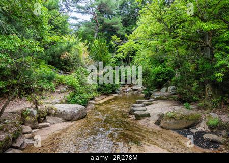 Vista panoramica nel Parco Momijidani a Miyajima (Itsukushima), Hiroshima, Giappone. Foto Stock