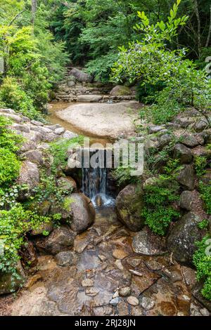 Vista panoramica nel Parco Momijidani a Miyajima (Itsukushima), Hiroshima, Giappone. Foto Stock