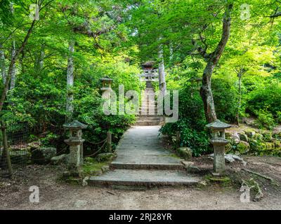 Vista panoramica nel Parco Momijidani a Miyajima (Itsukushima), Hiroshima, Giappone. Foto Stock