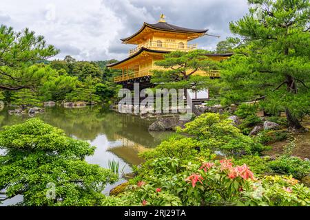 Vista panoramica con il meraviglioso padiglione dorato del Tempio Kinkaku-ji di Kyoto. Giappone. Foto Stock