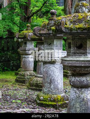 Vista panoramica nel Santuario Tosho-GU a Nikko. Prefettura di Tochigi, Giappone. Foto Stock