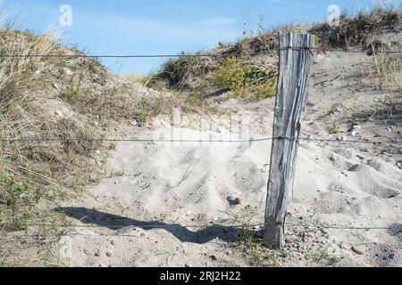 spiaggia con sabbia nel mare del nord Foto Stock