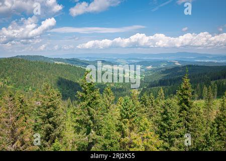 Vista idilliaca di un verde paesaggio montano nel Parco Nazionale di Pieniny, Slovacchia Foto Stock